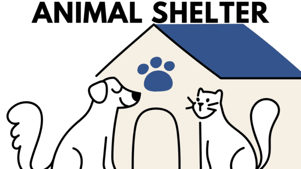 animal shelter