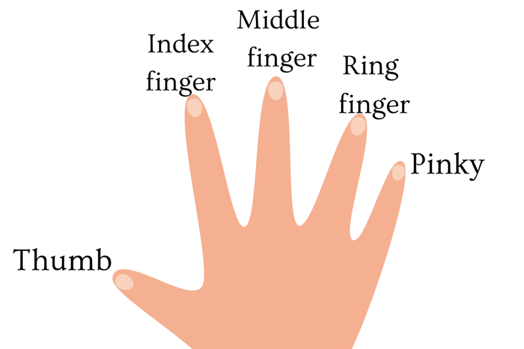 parts of the body