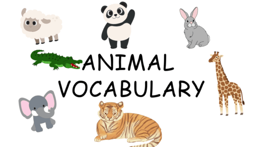 Animal Vocabulary In English